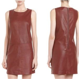 Bagatelle Sleeveless Leather Dress in Rich Brown